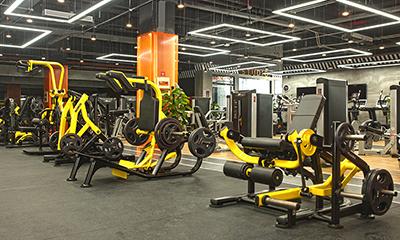 Gimnasios & Clubes Deportivos