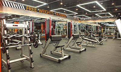 Gimnasios & Clubes Deportivos