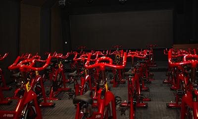 Gimnasios & Clubes Deportivos