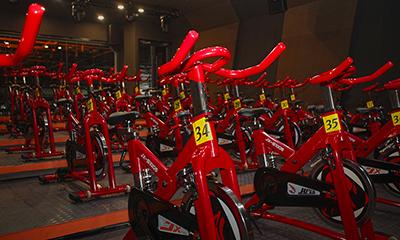 Escuelas & Universidades